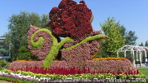 园林绿化施工与景观设计资源全览