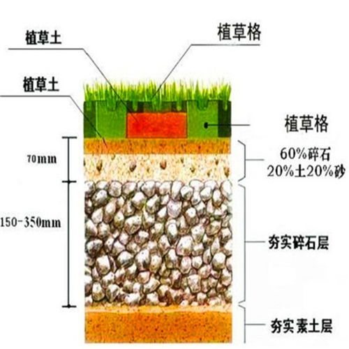 2021欢迎访问 深州绿化植草格施工工艺讲解 实业集团