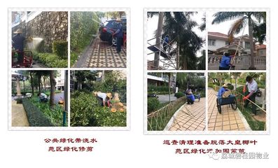 荔城碧桂园2019年1月第四周工作简报暨苑区重点改造项目汇报