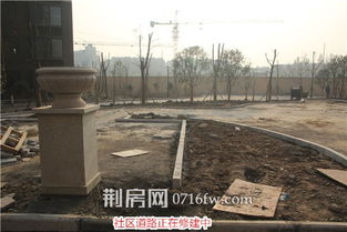 九龙湾12月进度解读 园林绿化抢抓工期，养护管理精细化升级